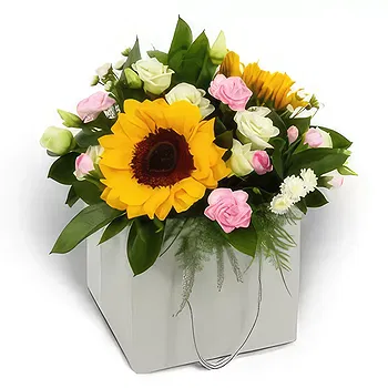 Antias flowers  -  Summer Charm Flower Delivery