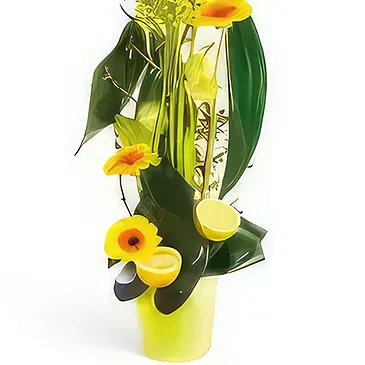 Le François flowers  -  Sunlight flower arrangement Flower Bouquet/Arrangement