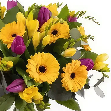fleuriste fleurs de Bucarest- Délicatesse Bouquet/Arrangement floral