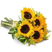Brasilien Online Blumenhändler - Bouquet von Sonnenblumen Blumenstrauß
