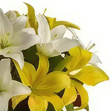 fiorista fiori di Cao Lunh- Ambizioso Bouquet floreale