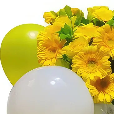 Sa Caleta flowers  -  Gerbera Arrangement Flower Bouquet/Arrangement