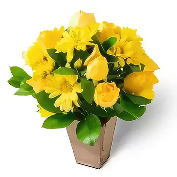 Brasilien Blumen Florist- Arrangement von gelben Gänseblümchen und Rose Bouquet/Blumenschmuck