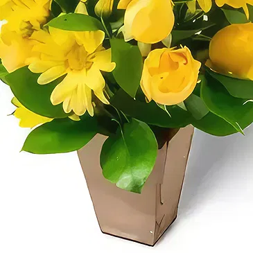 Brasilien Blumen Florist- Arrangement von gelben Gänseblümchen und Rose Bouquet/Blumenschmuck