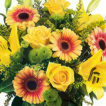 Case Lunghe flowers  -  Yellow Flowers Bouquet  with Soft Toy and Car Flower Bouquet/Arrangement