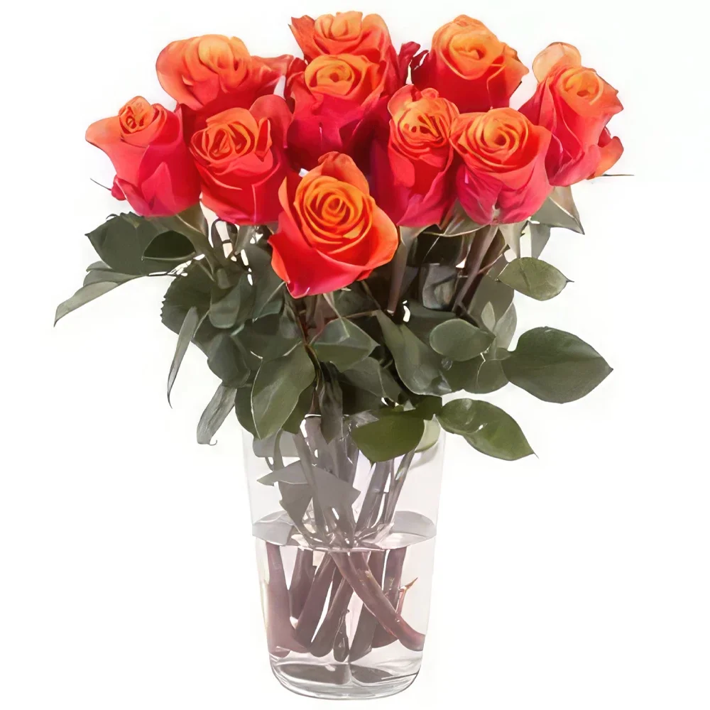 Nurnberg rože- Sončni zahod lepota Cvet šopek/dogovor