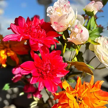 Halta blomster- Solnedgangsbukett Blomsterarrangementer bukett