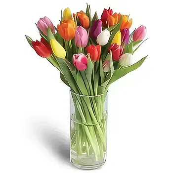 fleuriste fleurs de Hauteurs de Barsha- Soleil Fleur Livraison