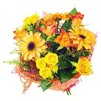 San Marino flowers  -  Bouquet of orange Gerberas and yellow flowers Delivery