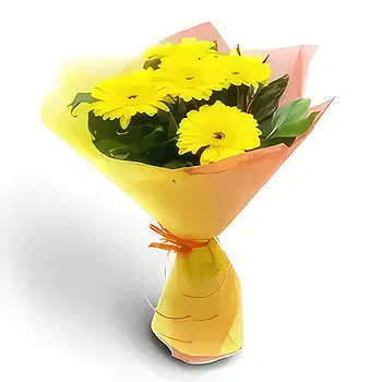 Kravino flowers  -  Celebration time Flower Delivery