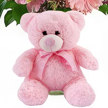 Greece flowers  -  Pink Roses & Teddy Flower Bouquet/Arrangement