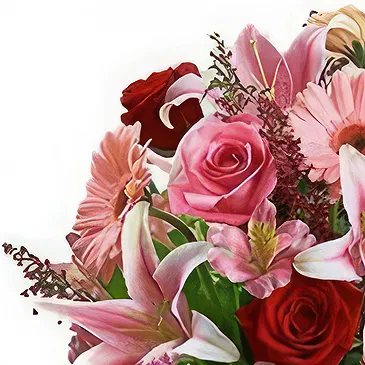 Greece flowers  -  Pink Roses & Teddy Flower Bouquet/Arrangement