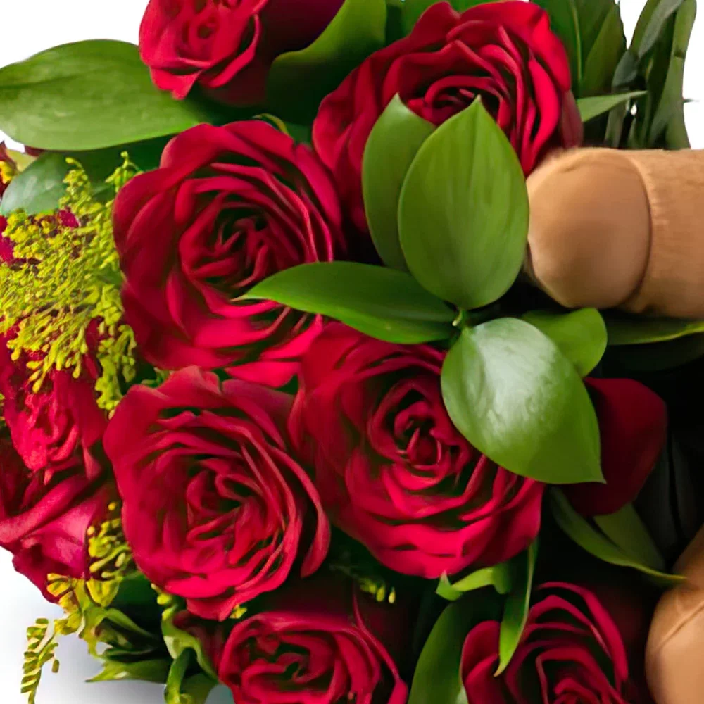 fortaleza kukat- Kimppu 12 punaista ruusua, nallekarhua ja suk Kukka kukkakimppu