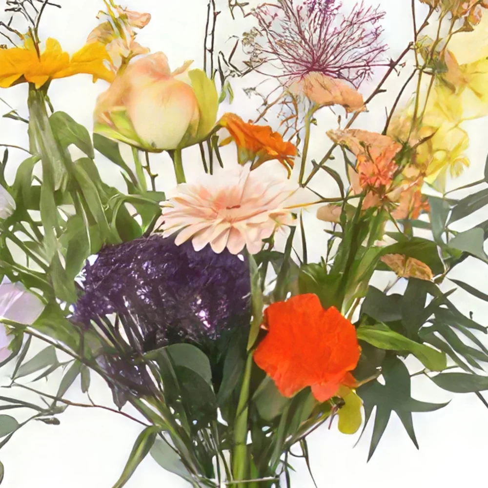 Ρότερνταμ λουλούδια- Αγαπημένος Μπουκέτο/ρύθμιση λουλουδιών