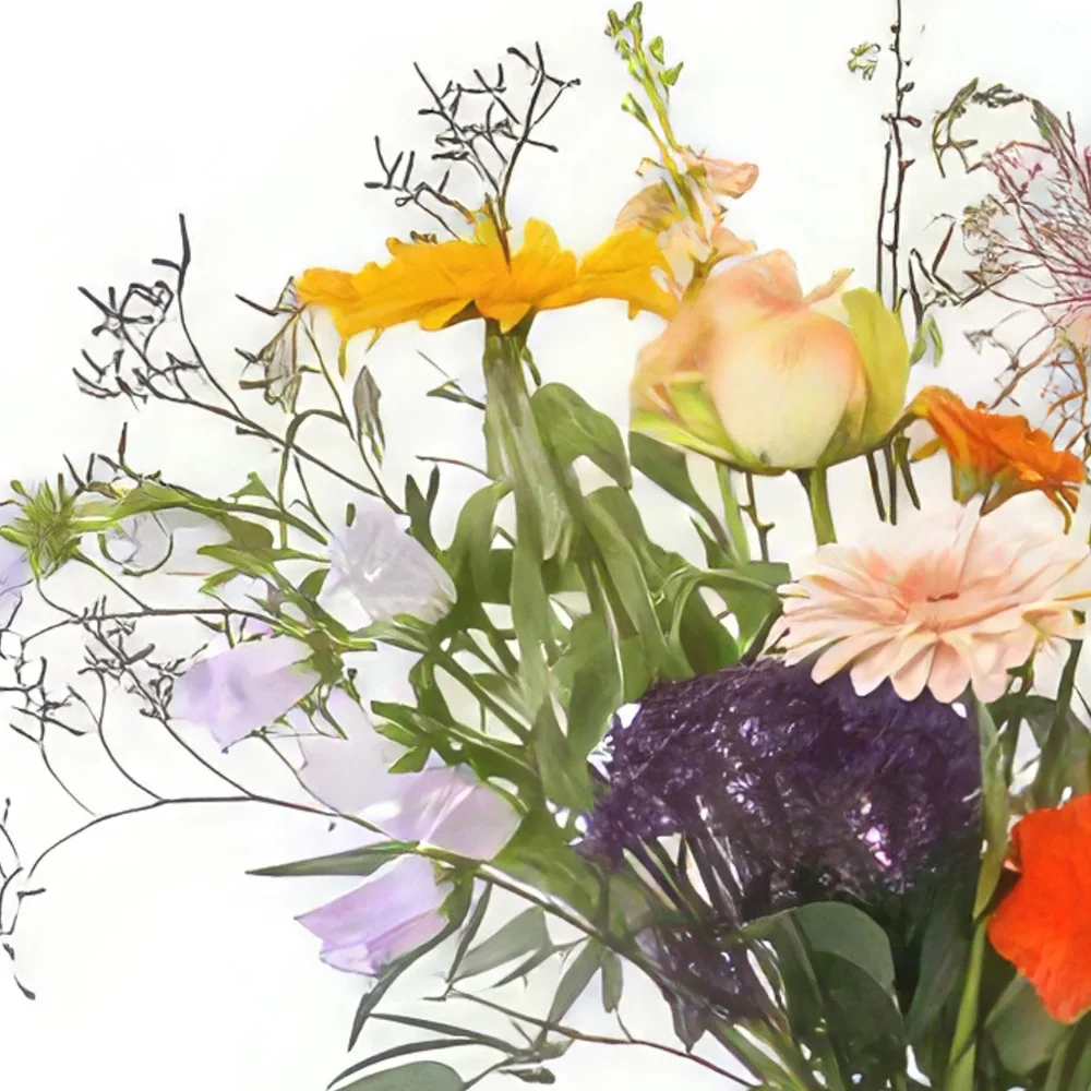 אמסטרדם פרחים- אהובה זר פרחים/סידור פרחים