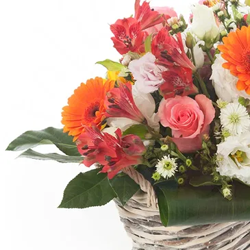Mira flowers  -  Funeral Basket of Mixed Flowers Flower Bouquet/Arrangement