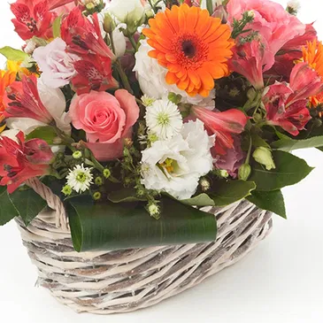 Mira flowers  -  Funeral Basket of Mixed Flowers Flower Bouquet/Arrangement