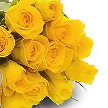 Bliznaci Blumen Florist- Schmerzlose Geschenke Bouquet/Blumenschmuck