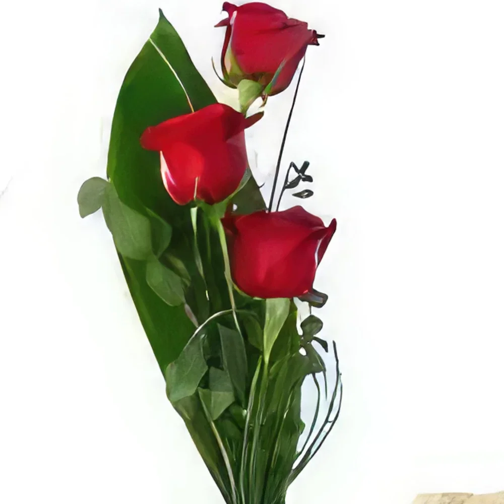 بائع زهور Sincan- تيدي مع الحب باقة الزهور