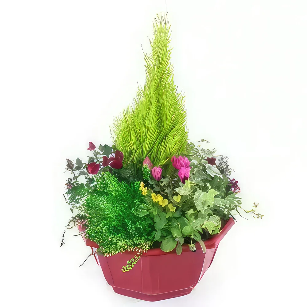 Lyon bloemen bloemist- Tender Pansy Plant Cup Boeket/bloemstuk