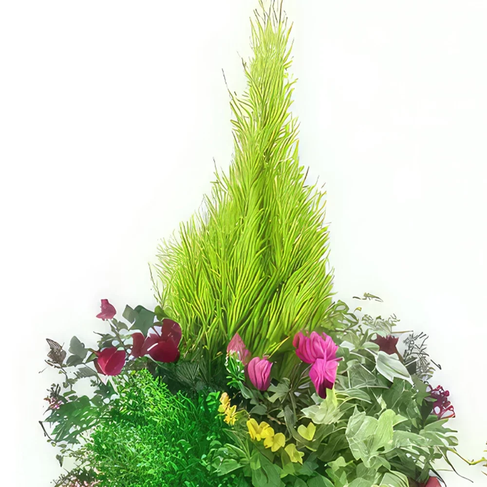 Μασσαλία λουλούδια- Τρυφερό κύπελλο φυτών πανσών Μπουκέτο/ρύθμιση λουλουδιών