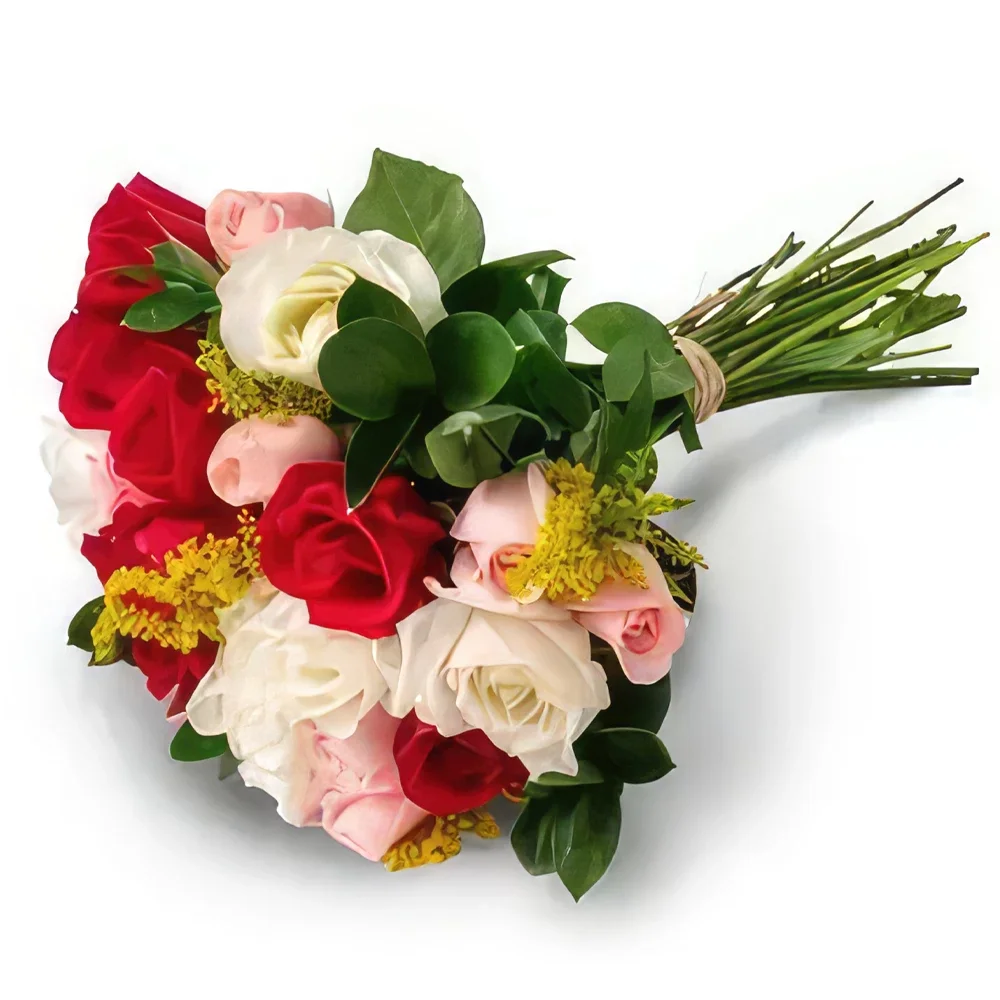 fleuriste fleurs de Salvador- Bouquet de 24 roses de trois couleurs Bouquet/Arrangement floral