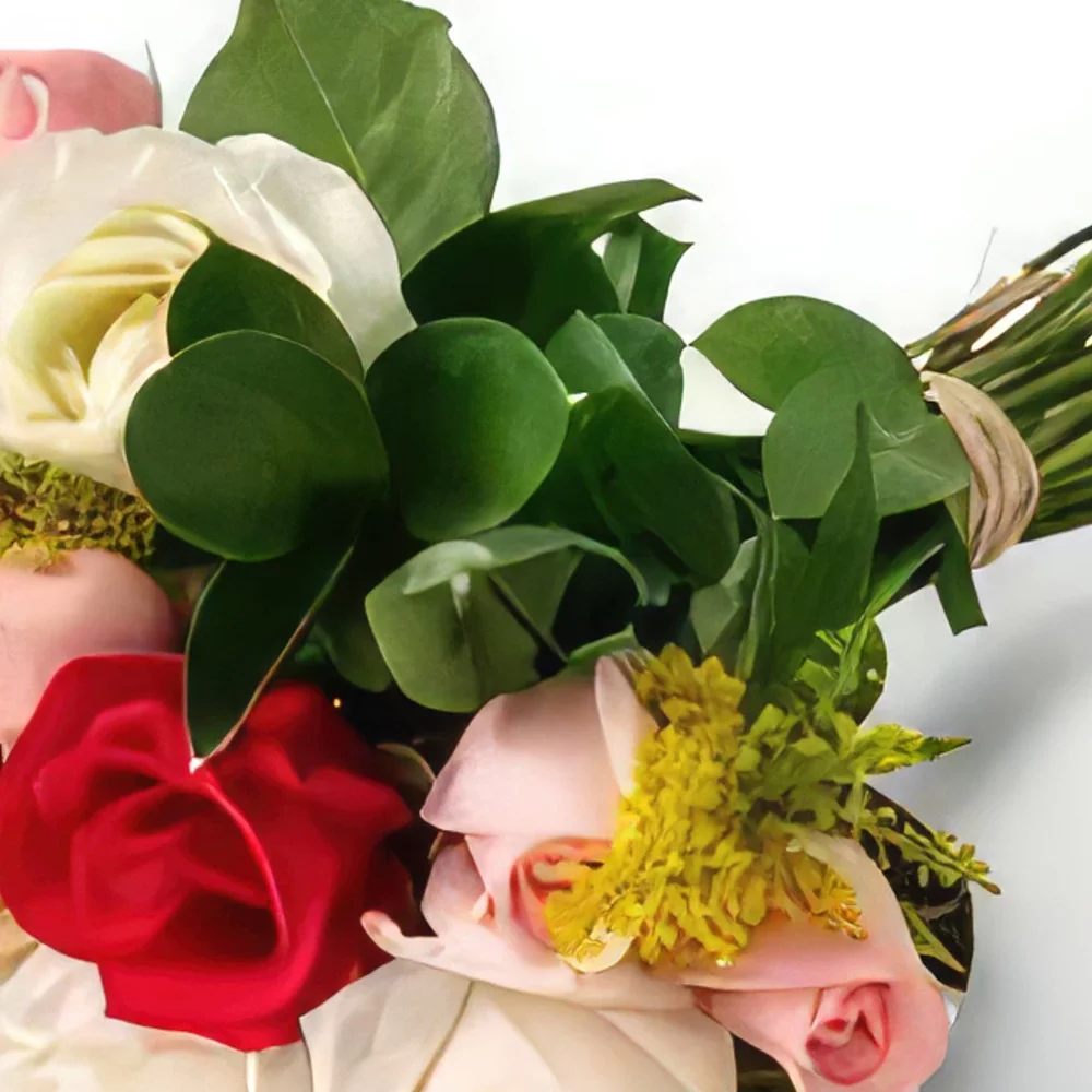 Belém blomster- Bouquet af 24 roser af tre farver Blomst buket/Arrangement