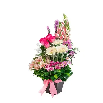 Zaquitel Ojo de Agua flowers  -  Pink present Flower Delivery