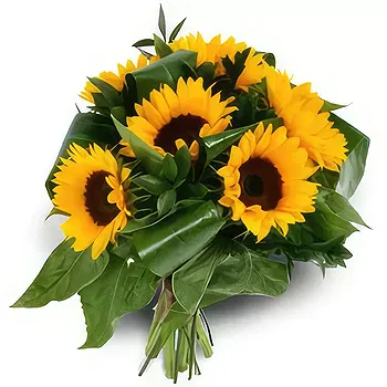 Antias flowers  -  Sunny Shine Flower Delivery