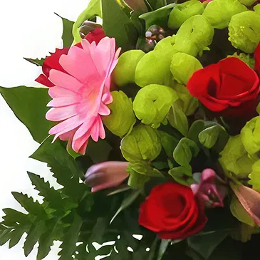 Lublin flowers  -  Special Occasion Flower Bouquet/Arrangement