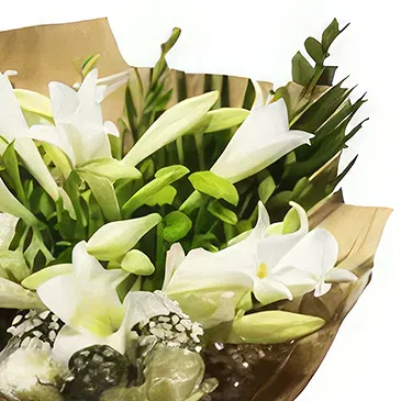 Cao Bằng Blumen Florist- Der Kuss Bouquet/Blumenschmuck