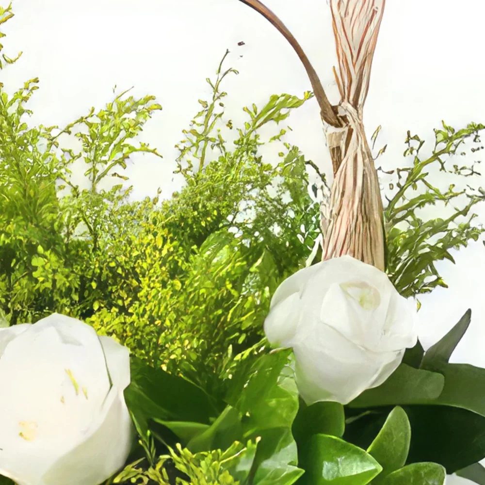 Braсilia cveжe- Korpa сa 15 belih ruža Cvet buket/aranžman
