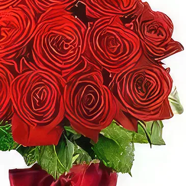 Sitrah blommor- 12 röda rosor Bukett/blomsterarrangemang