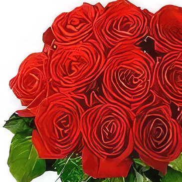 Sitrah blommor- 12 röda rosor Bukett/blomsterarrangemang