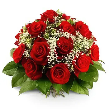 Antias flowers  -  Elegant Red Flower Delivery