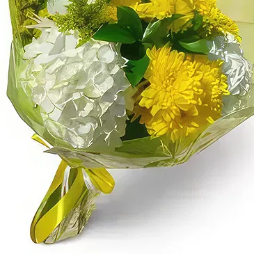 fleuriste fleurs de Niu Blau- Soleil Bouquet/Arrangement floral