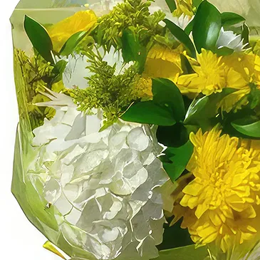 fleuriste fleurs de Niu Blau- Soleil Bouquet/Arrangement floral