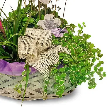 Ibiza flowers  -  Serene Garden Baskets Flower Bouquet/Arrangement