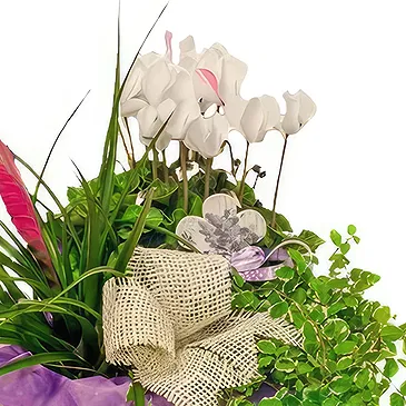 Ibiza flowers  -  Serene Garden Baskets Flower Bouquet/Arrangement