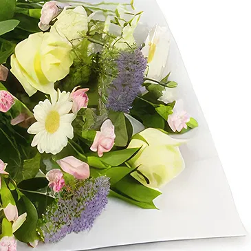 Palia Ampelia flowers  -  Positive Vibes Flower Bouquet/Arrangement