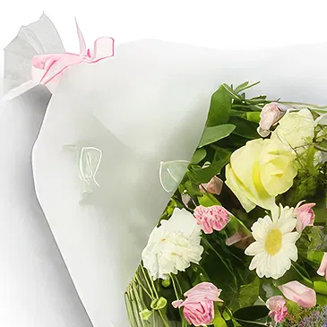Palia Ampelia flowers  -  Positive Vibes Flower Bouquet/Arrangement