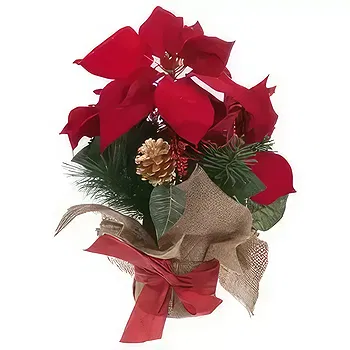 Getk flowers  -  Festive Spirit Flower Delivery