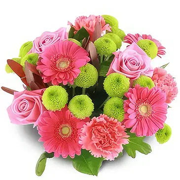 Palia Ampelia flowers  -  Petals Party Flower Bouquet/Arrangement