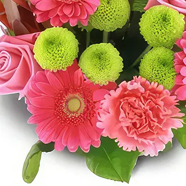 Palia Ampelia flowers  -  Petals Party Flower Bouquet/Arrangement