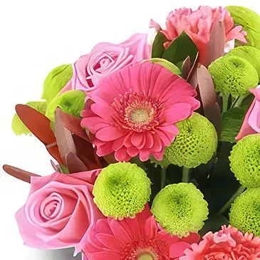 Palia Ampelia flowers  -  Petals Party Flower Bouquet/Arrangement