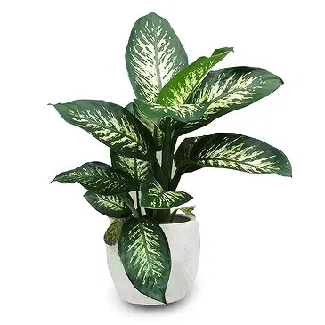 Cala Llonga flowers  -  Verdant Tropic Beauty Flower Bouquet/Arrangement