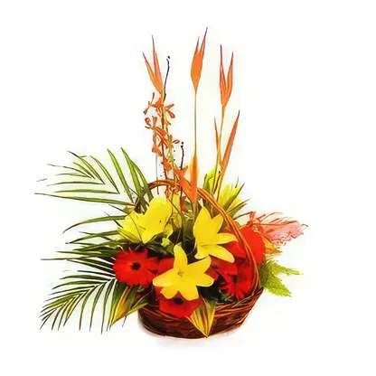 St. Lucia flowers  -   Flower Bouquet/Arrangement