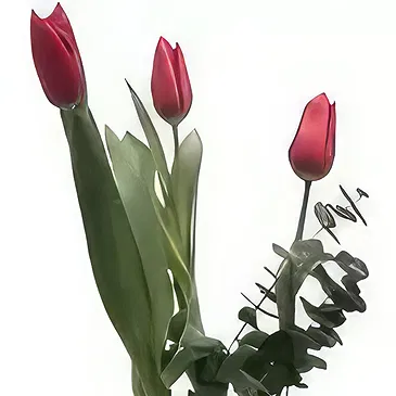 Adma flowers  -  Intoxicate Flower Bouquet/Arrangement