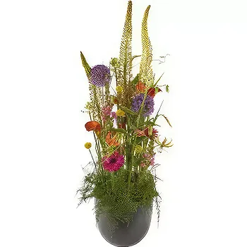 Sunds blommor- Lyxigt färgglatt blomsterarrangemang Blomma Leverans