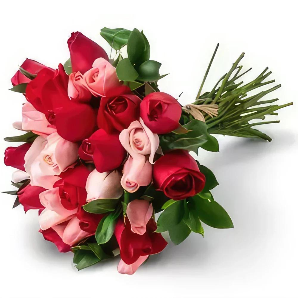 רסיפה פרחים- זר של 32 ורדים דו-צבעיים זר פרחים/סידור פרחים